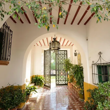 Clavero Six Premium Malaga